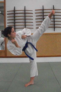 Karate Kick Best Martial Arts Institute
