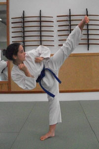 Karate Kick Best Martial Arts Institute