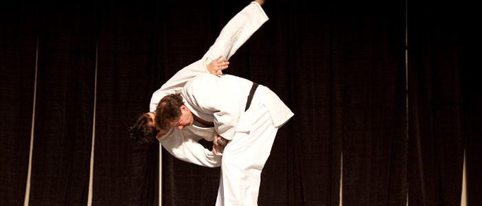 Judo Adults Best Martial Arts Institute
