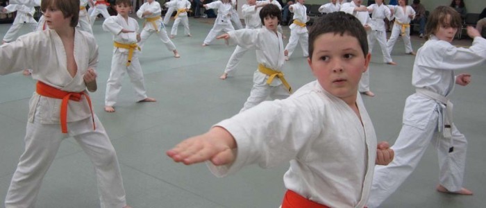 - Children's martial arts