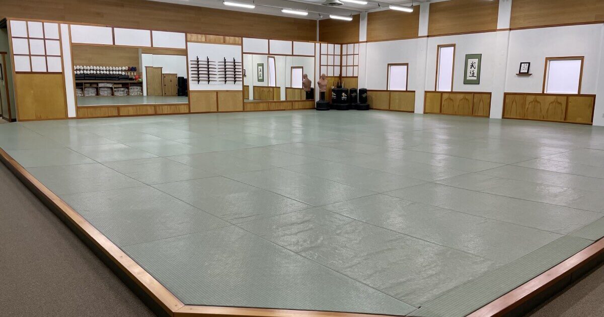 Dojo 1 angle view