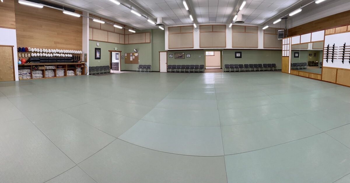 Dojo 1 Back