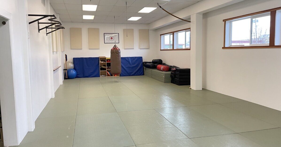 Dojo 2 Back